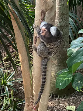 神戸どうぶつ王国に投稿された画像（2022/5/22）