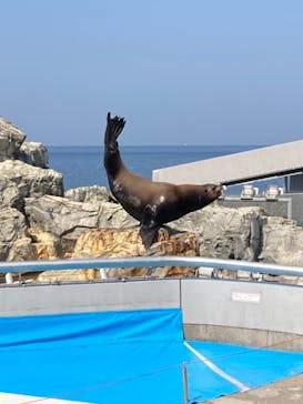 大分マリーンパレス水族館 「うみたまご」に投稿された画像（2022/5/22）