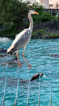 天王寺動物園に投稿された画像（2022/5/22）