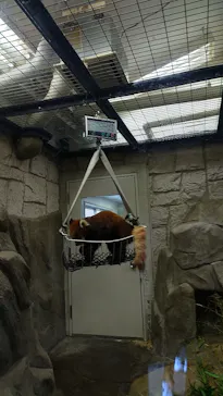 天王寺動物園に投稿された画像（2022/5/22）