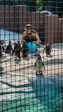 天王寺動物園に投稿された画像（2022/5/22）