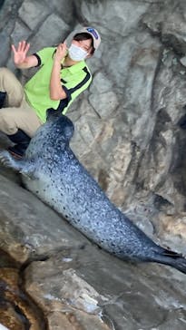 しながわ水族館に投稿された画像（2022/5/22）