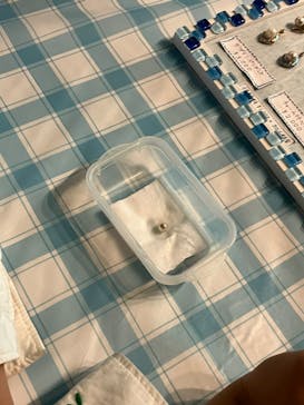 しながわ水族館に投稿された画像（2022/5/22）