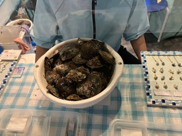 しながわ水族館に投稿された画像（2022/5/22）