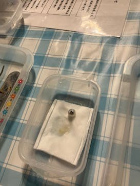 しながわ水族館に投稿された画像（2022/5/22）