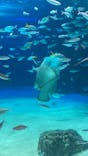 サンシャイン水族館に投稿された画像（2022/5/22）