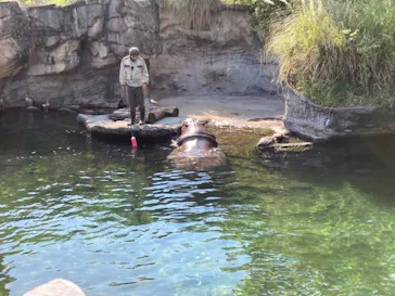 天王寺動物園に投稿された画像（2022/5/22）