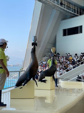 マリンワールド海の中道に投稿された画像（2022/5/22）