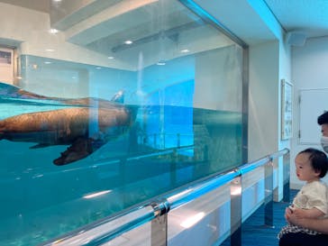 マリンワールド海の中道に投稿された画像（2022/5/22）