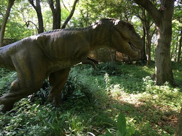 安城産業文化公園デンパークに投稿された画像（2022/5/22）