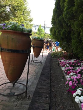 安城産業文化公園デンパークに投稿された画像（2022/5/22）