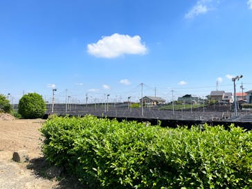 一般社団法人西尾市観光協会に投稿された画像（2022/5/22）