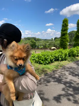 わんダフルネイチャーヴィレッジに投稿された画像（2022/5/22）