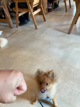 わんダフルネイチャーヴィレッジに投稿された画像（2022/5/22）