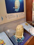 国立科学博物館　特別企画展「ポケモン化石博物館」に投稿された画像（2022/5/22）