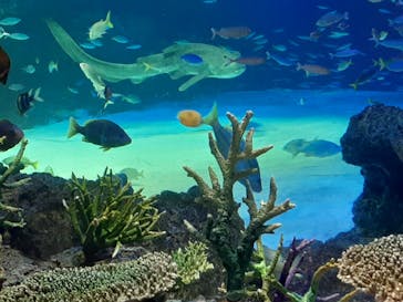 サンシャイン水族館に投稿された画像（2022/5/22）