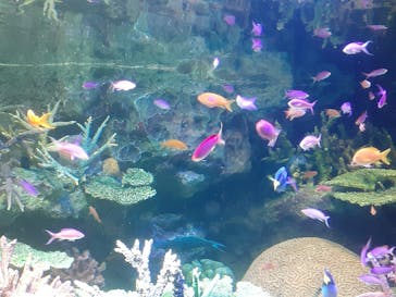 サンシャイン水族館に投稿された画像（2022/5/22）