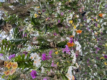 チームラボプラネッツ TOKYO DMMに投稿された画像（2022/5/22）