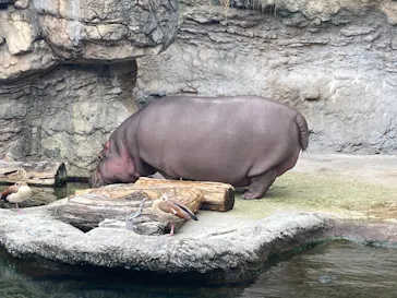 天王寺動物園に投稿された画像（2022/5/22）