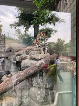 天王寺動物園に投稿された画像（2022/5/22）