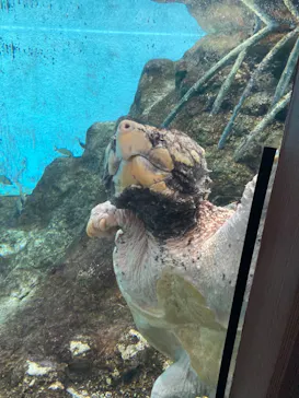 天王寺動物園に投稿された画像（2022/5/22）