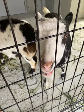 天王寺動物園に投稿された画像（2022/5/22）