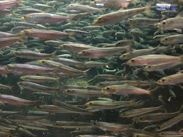 株式会社Gに投稿された画像（2022/5/22）