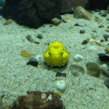 株式会社Gに投稿された画像（2022/5/22）