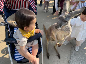 神戸どうぶつ王国に投稿された画像（2022/5/22）