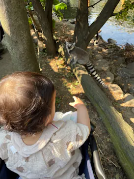 神戸どうぶつ王国に投稿された画像（2022/5/22）