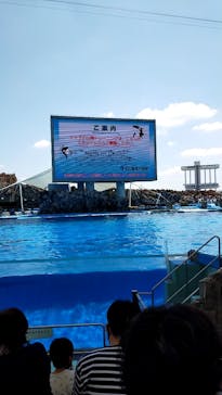 名古屋港水族館に投稿された画像（2022/5/22）