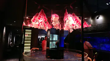 すみだ水族館に投稿された画像（2022/5/22）