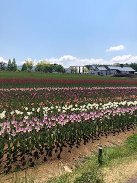 牧歌の里に投稿された画像（2022/5/22）