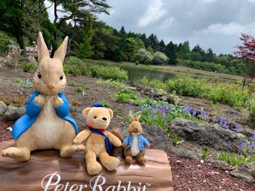 富士芝桜まつり(富士本栖湖リゾート)に投稿された画像（2022/5/22）