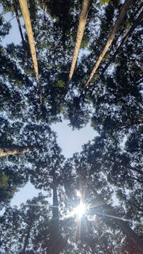 アドベンチャーパーク　オドルの森に投稿された画像（2022/5/22）