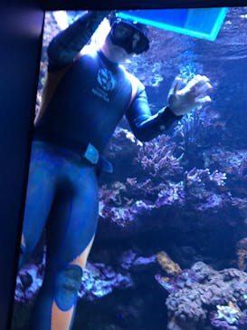 サンシャイン水族館に投稿された画像（2022/5/22）