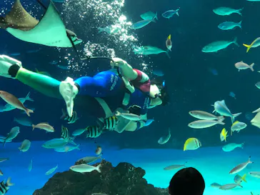 サンシャイン水族館に投稿された画像（2022/5/22）