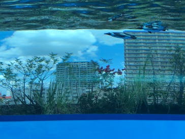 サンシャイン水族館に投稿された画像（2022/5/22）