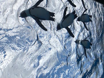 サンシャイン水族館に投稿された画像（2022/5/22）