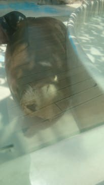 サンシャイン水族館に投稿された画像（2022/5/23）