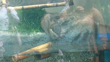 サンシャイン水族館に投稿された画像（2022/5/23）