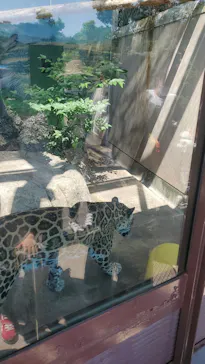 天王寺動物園に投稿された画像（2022/5/23）