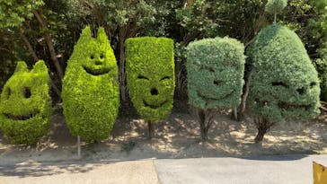 淡路ファームパーク イングランドの丘に投稿された画像（2022/5/23）