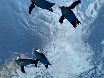 サンシャイン水族館に投稿された画像（2022/5/23）
