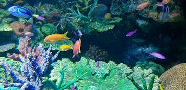 サンシャイン水族館に投稿された画像（2022/5/23）