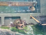 サンシャイン水族館に投稿された画像（2022/5/23）