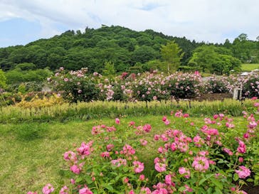 いばらきフラワーパークに投稿された画像（2022/5/23）