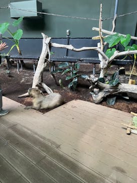 カワスイ 川崎⽔族館に投稿された画像（2022/5/23）