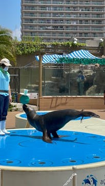 サンシャイン水族館に投稿された画像（2022/5/23）