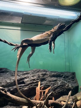 サンシャイン水族館に投稿された画像（2022/5/23）